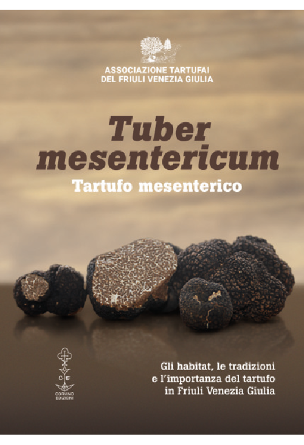 Libro Tuber mesentericum